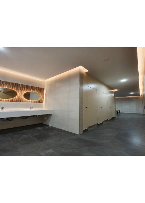 Toilet Cubicle